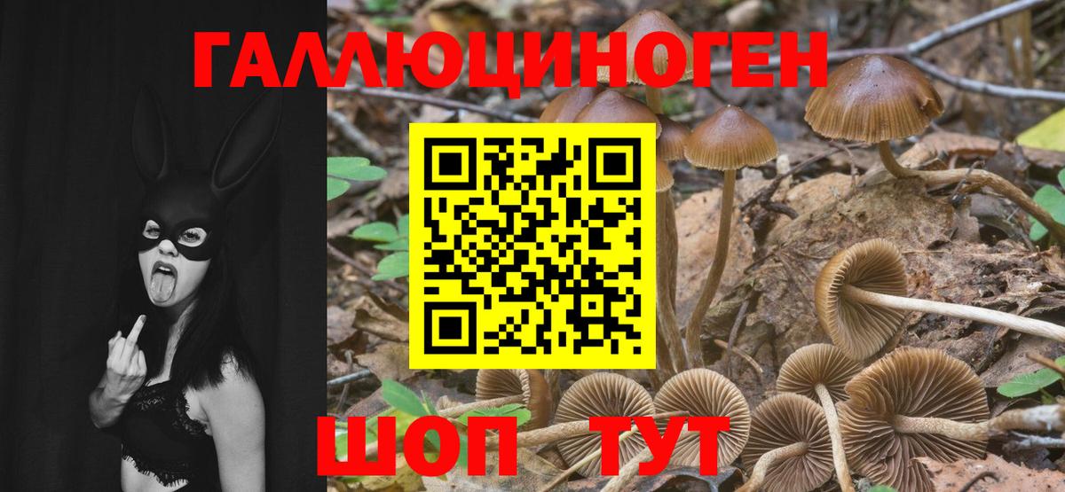 закладка  Псилоцибиновые грибы Psilocybe  Вход с VPN  Кувандык 